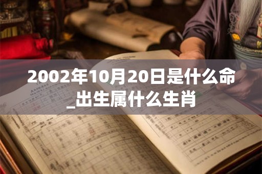 2002年10月20日是什么命_出生属什么生肖