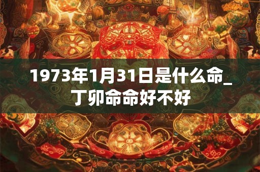1973年1月31日是什么命_丁卯命命好不好
