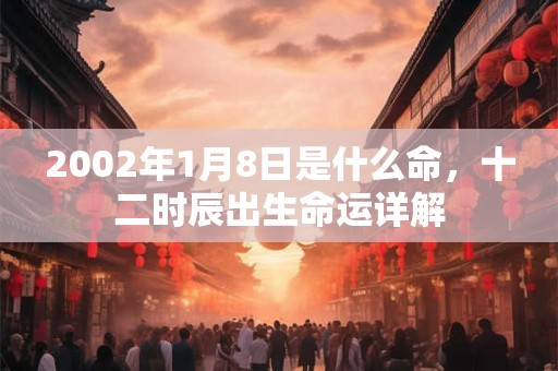 2002年1月8日是什么命,十二时辰出生命运详解 2002年1月8日是什么命,十二时辰出生命运详解