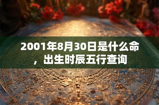 2001年8月30日是什么命,出生时辰五行查询 2001年8月30日是什么命,出生时辰五行查询