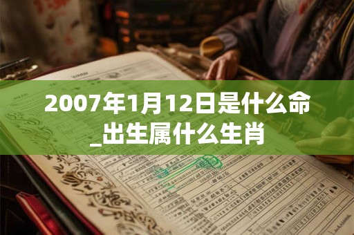 2007年1月12日是什么命_出生属什么生肖