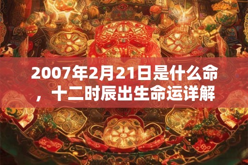2007年2月21日是什么命,十二时辰出生命运详解 2007年2月21日是什么命,十二时辰出生命运详解