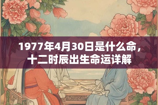1977年4月30日是什么命，十二时辰出生命运详解