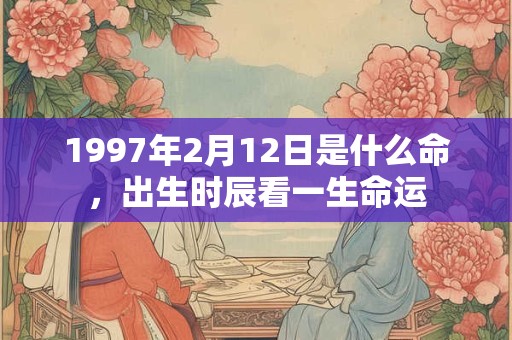 1997年2月12日是什么命，出生时辰看一生命运