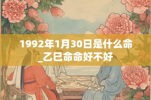 1992年1月30日是什么命_乙巳命命好不好 1992年1月30日是什么命_乙巳命命好不好