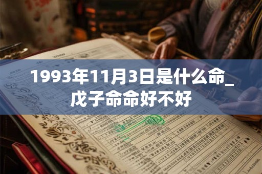 1993年11月3日是什么命_戊子命命好不好