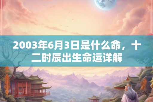 2003年6月3日是什么命，十二时辰出生命运详解