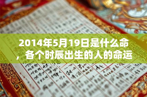 2014年5月19日是什么命，各个时辰出生的人的命运