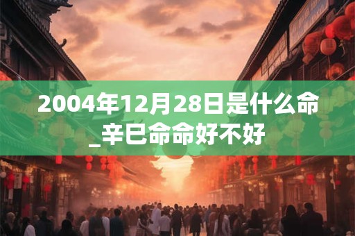 2004年12月28日是什么命_辛巳命命好不好
