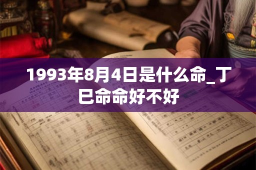 1993年8月4日是什么命_丁巳命命好不好