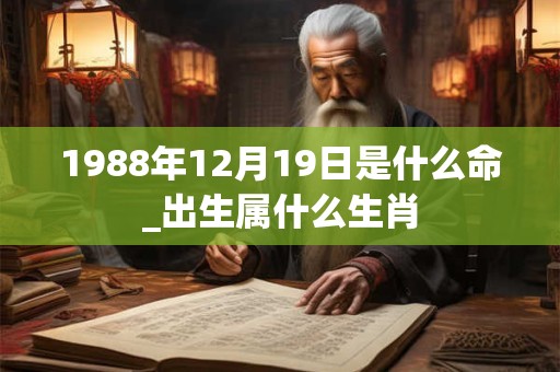 1988年12月19日是什么命_出生属什么生肖 1988年12月19日是什么命_出生属什么生肖