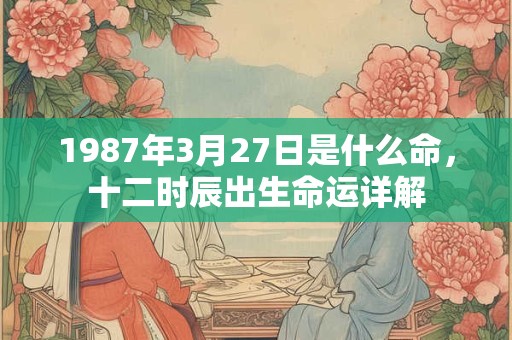 1987年3月27日是什么命,十二时辰出生命运详解 1987年3月27日是什么命,十二时辰出生命运详解