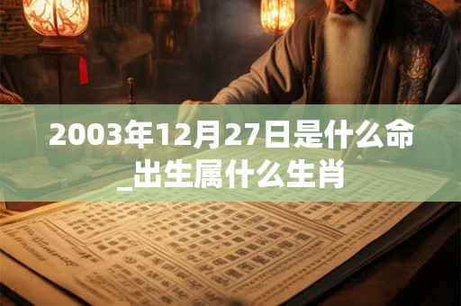 2003年12月27日是什么命_出生属什么生肖