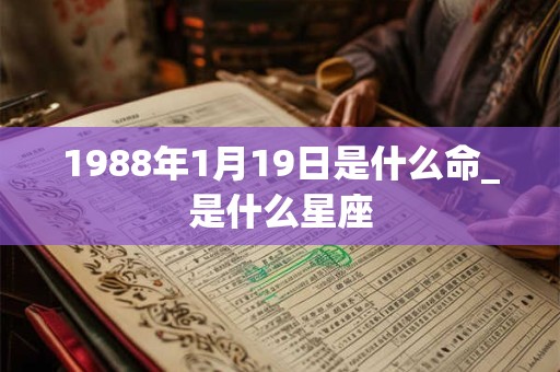 1988年1月19日是什么命_是什么星座 1988年1月19日是什么命_是什么星座