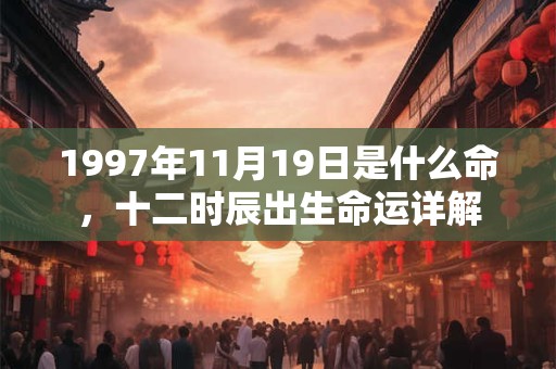 1997年11月19日是什么命,十二时辰出生命运详解 1997年11月19日是什么命,十二时辰出生命运详解