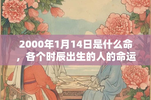 2000年1月14日是什么命,各个时辰出生的人的命运 2000年1月14日是什么命,各个时辰出生的人的命运