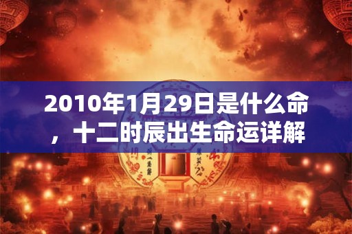 2010年1月29日是什么命，十二时辰出生命运详解