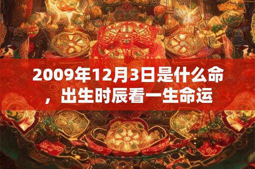2009年12月3日是什么命,出生时辰看一生命运 2009年12月3日是什么命,出生时辰看一生命运