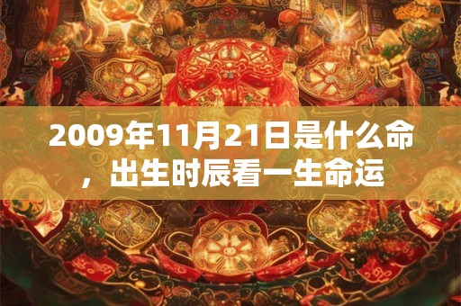2009年11月21日是什么命,出生时辰看一生命运 2009年11月21日是什么命,出生时辰看一生命运