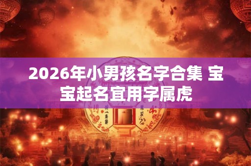 2026年小男孩名字合集 宝宝起名宜用字属虎 2026年小男孩名字合集 宝宝起名宜用字属虎