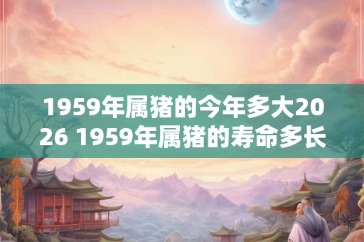 1959年属猪的今年多大2026 1959年属猪的寿命多长 1959年属猪的今年多大2026 1959年属猪的寿命多长