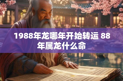 1988年龙哪年开始转运 88年属龙什么命
