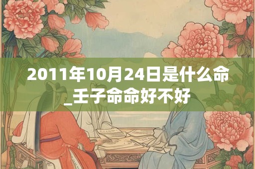 2011年10月24日是什么命_壬子命命好不好