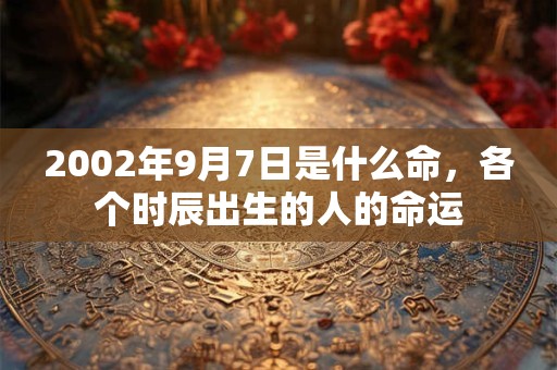 2002年9月7日是什么命,各个时辰出生的人的命运 2002年9月7日是什么命,各个时辰出生的人的命运