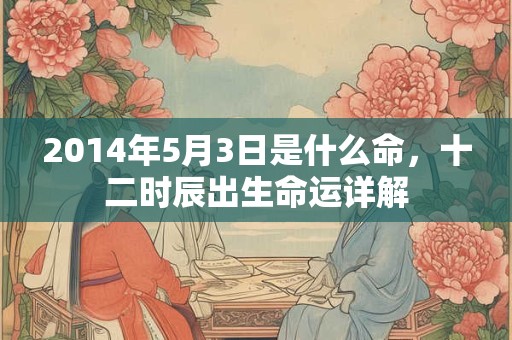 2014年5月3日是什么命，十二时辰出生命运详解
