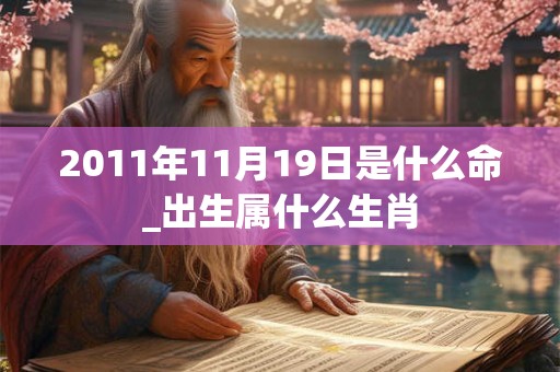 2011年11月19日是什么命_出生属什么生肖 2011年11月19日是什么命_出生属什么生肖