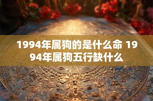 1994年属狗的是什么命 1994年属狗五行缺什么 1994年属狗的是什么命 1994年属狗五行缺什么