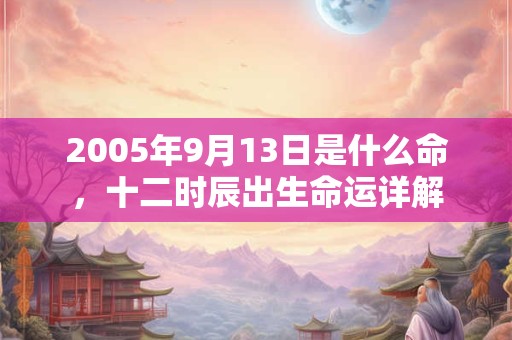 2005年9月13日是什么命，十二时辰出生命运详解