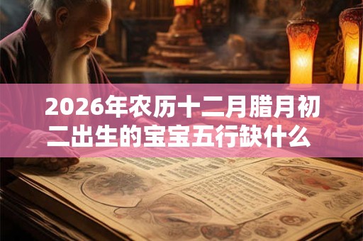 2026年农历十二月腊月初二出生的宝宝五行缺什么 是什么命