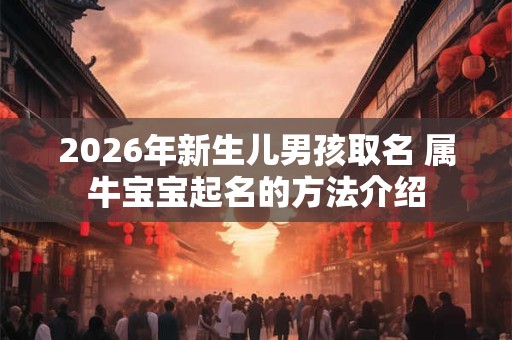 2026年新生儿男孩取名 属牛宝宝起名的方法介绍