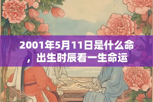 2001年5月11日是什么命,出生时辰看一生命运 2001年5月11日是什么命,出生时辰看一生命运