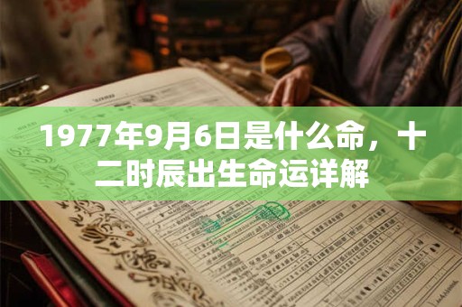 1977年9月6日是什么命，十二时辰出生命运详解