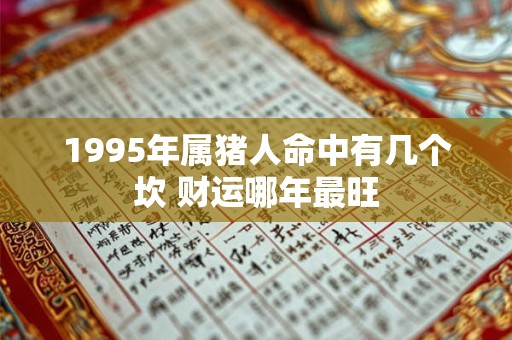 1995年属猪人命中有几个坎 财运哪年最旺