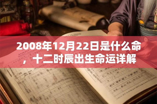 2008年12月22日是什么命,十二时辰出生命运详解 2008年12月22日是什么命,十二时辰出生命运详解