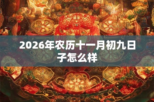2026年农历十一月初九日子怎么样