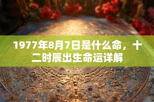 1977年8月7日是什么命,十二时辰出生命运详解 1977年8月7日是什么命,十二时辰出生命运详解