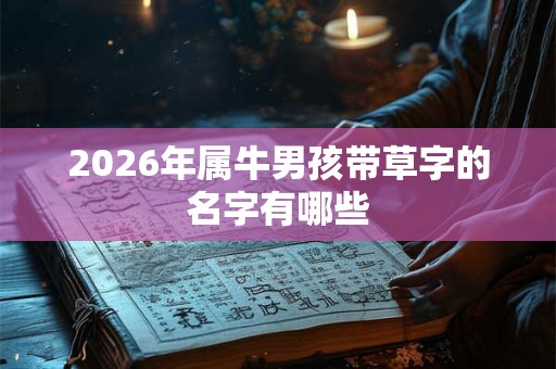 2026年属牛男孩带草字的名字有哪些