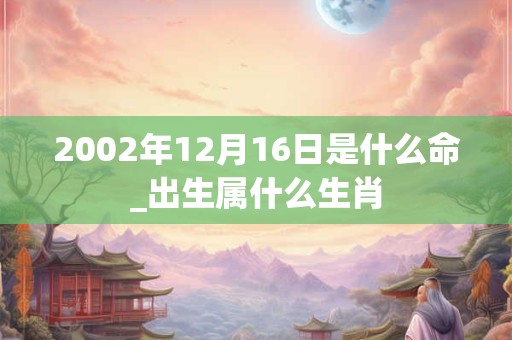 2002年12月16日是什么命_出生属什么生肖 2002年12月16日是什么命_出生属什么生肖