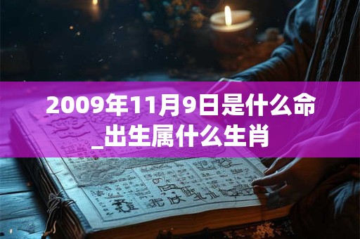 2009年11月9日是什么命_出生属什么生肖