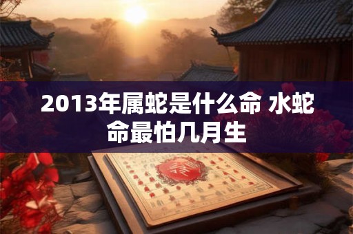2013年属蛇是什么命 水蛇命最怕几月生 2013年属蛇是什么命 水蛇命最怕几月生