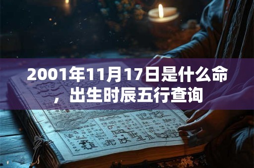 2001年11月17日是什么命,出生时辰五行查询 2001年11月17日是什么命,出生时辰五行查询