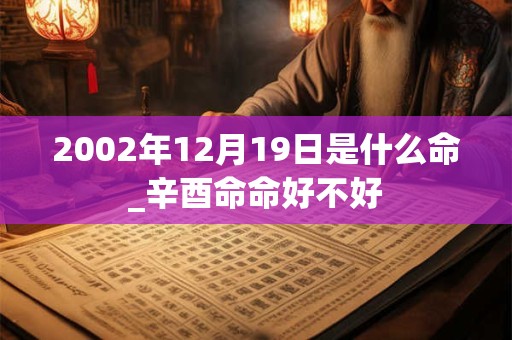 2002年12月19日是什么命_辛酉命命好不好