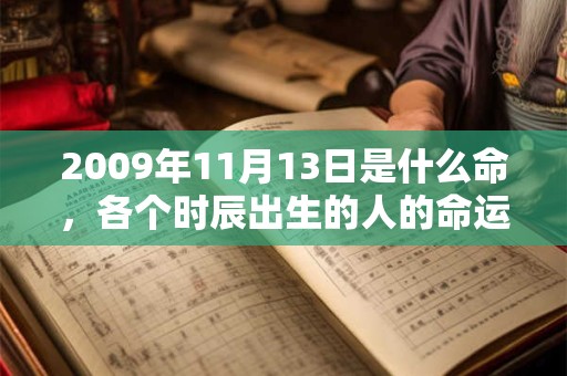 2009年11月13日是什么命，各个时辰出生的人的命运