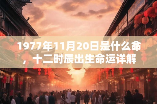 1977年11月20日是什么命,十二时辰出生命运详解 1977年11月20日是什么命,十二时辰出生命运详解