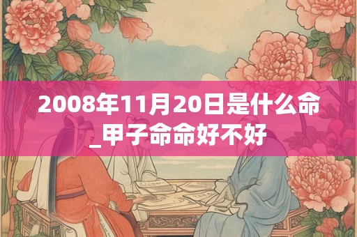 2008年11月20日是什么命_甲子命命好不好