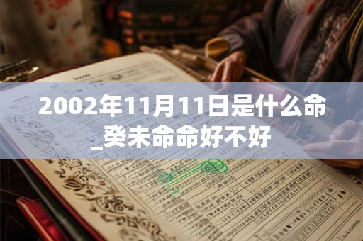 2002年11月11日是什么命_癸未命命好不好